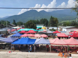 1693883903873092469.png image.png