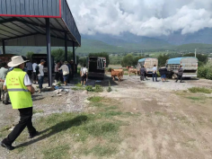 1693883911399035146.png image.png