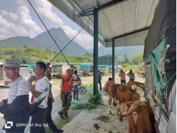 1693883928562088686.png image.png