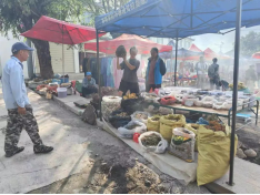 1693883946986053867.png image.png