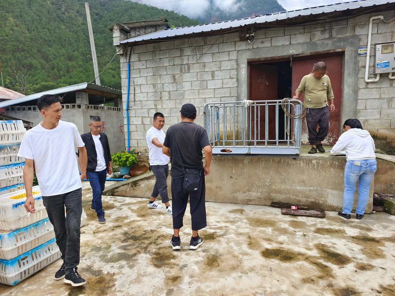 1719906478215075050.jpg 40a7378e7cfe5459296df52410ba1ca2.jpg