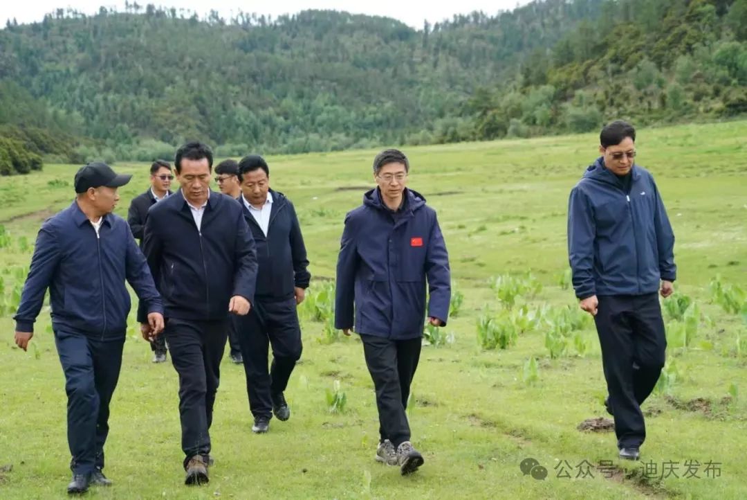 1721092057906001691.jpg 1721092053658016011.jpg