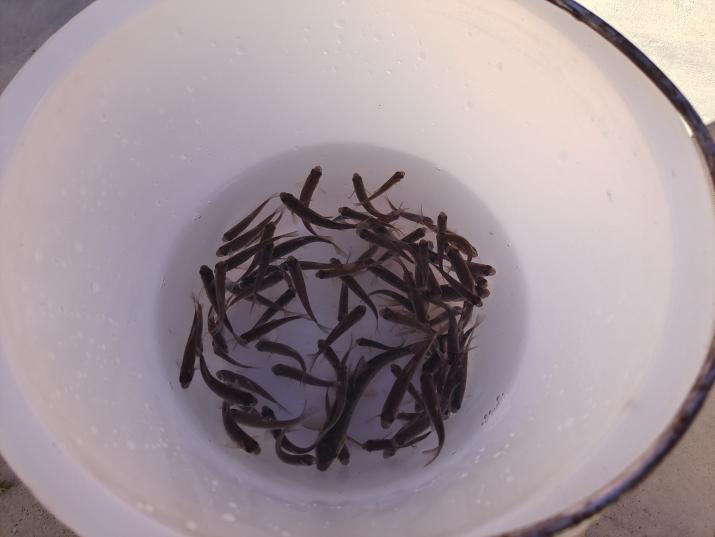 1635754731678004957.png 10102.png