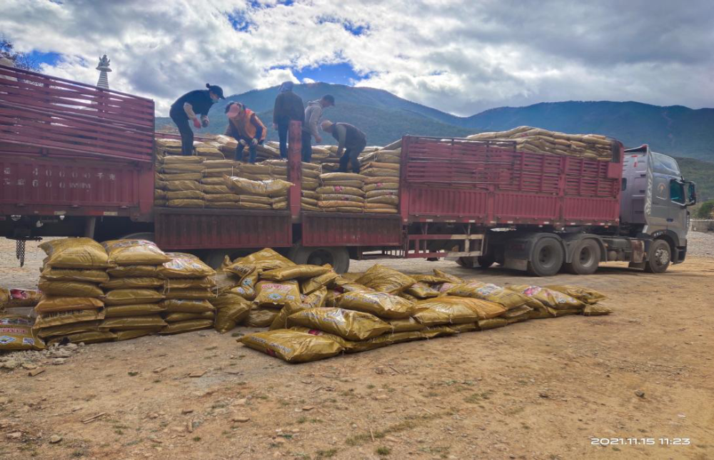 1637132021592029654.png 10401.png