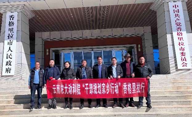 1637572642971026144.jpg 10603.jpg