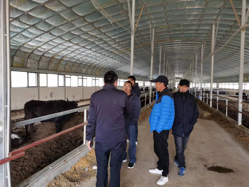 1648438023684033954.png 2001.png