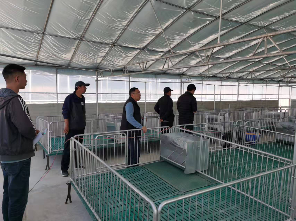 1648438072816090923.png 2004.png