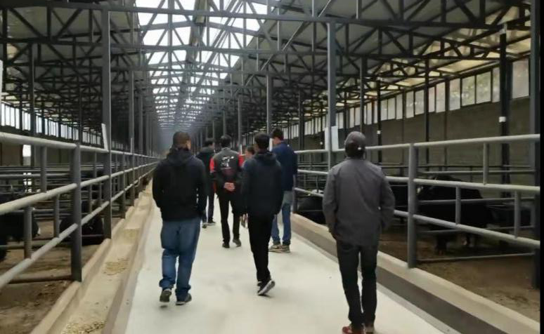 1648606810367070262.png 2401.png