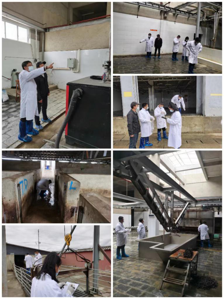 1652944974956007431.png 4501.png