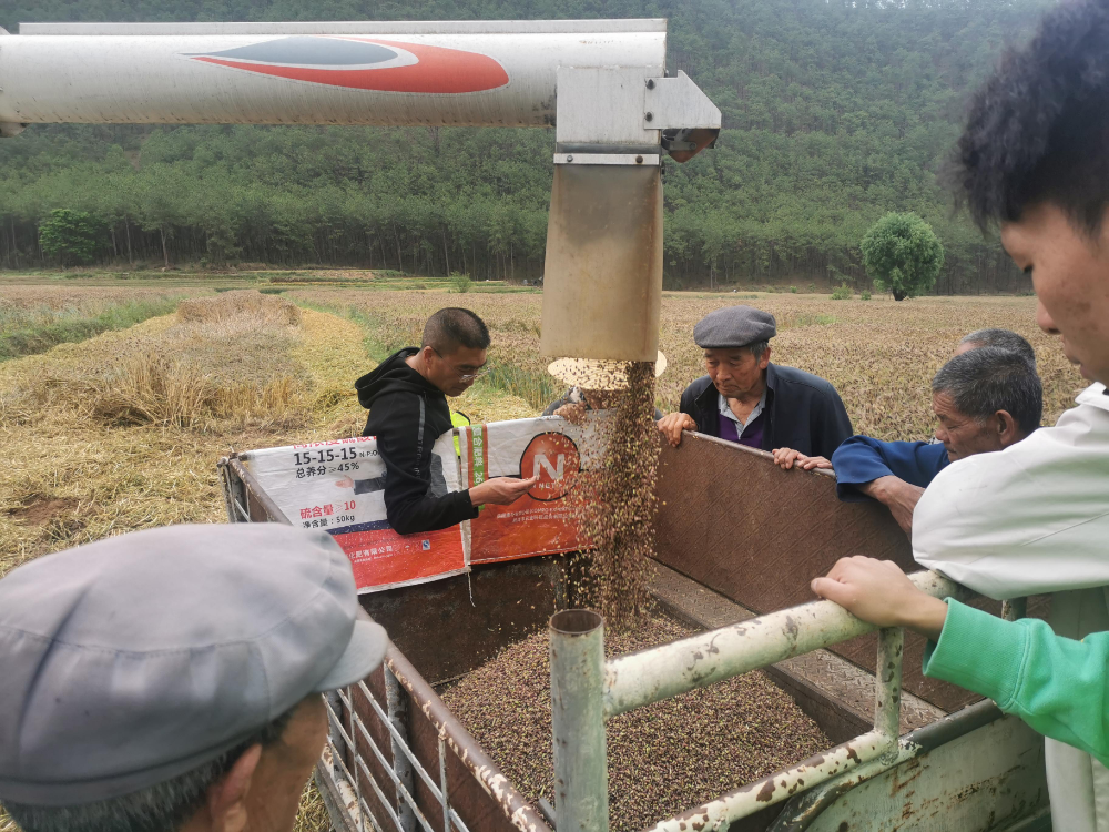 1653443296034068573.png 4702.png