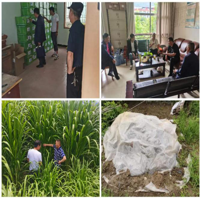 1661157420422071873.png 6701.png