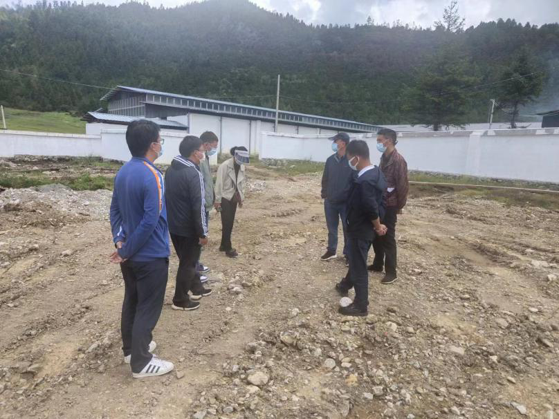 1661158397503074618.png 6803.png