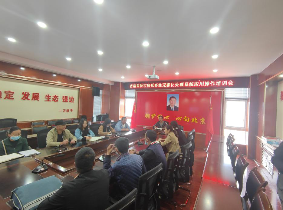 1662449365252009580.png 7001.png