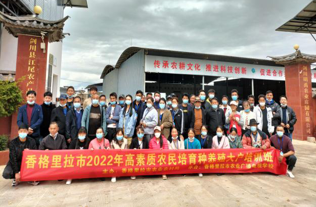 1667353588549086429.png 9302.png