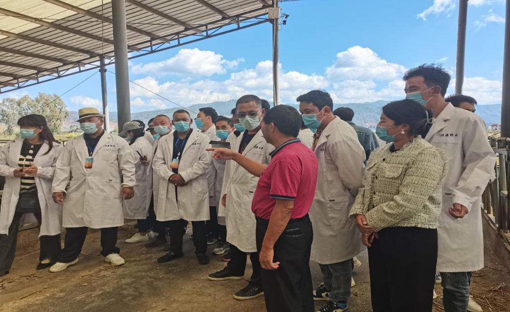 1667353638656035653.png 9306.png