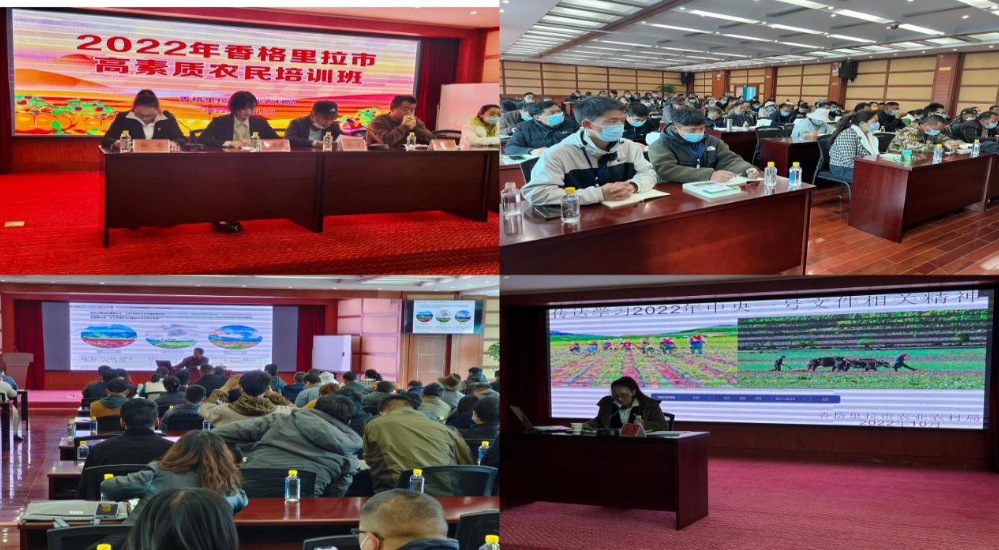 1667377676975049755.png 9502.png