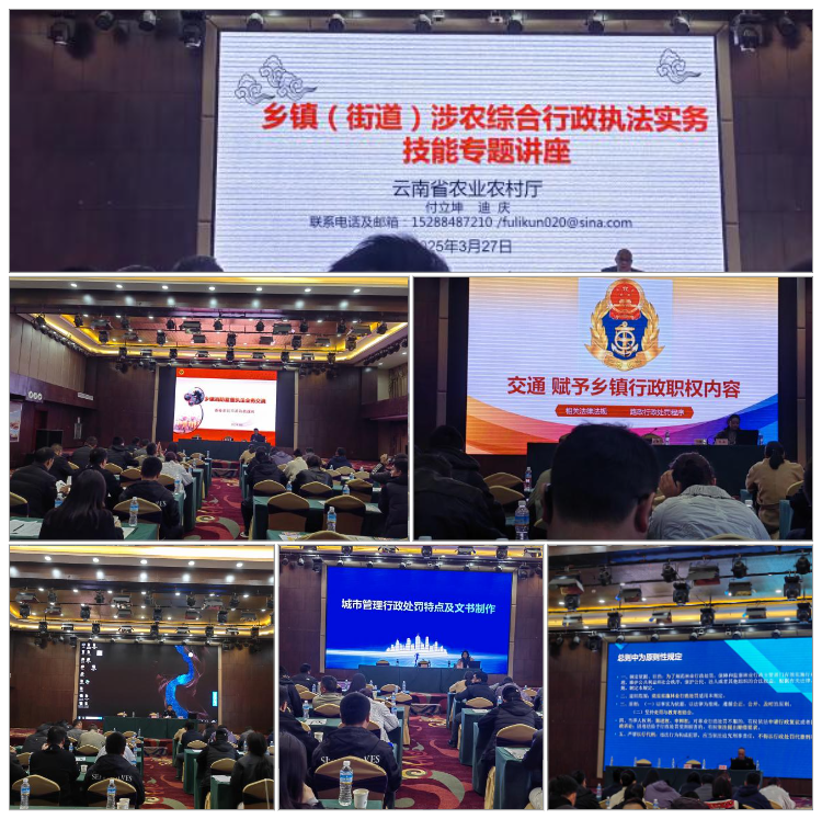 1743470197154048720.png chart-download.png