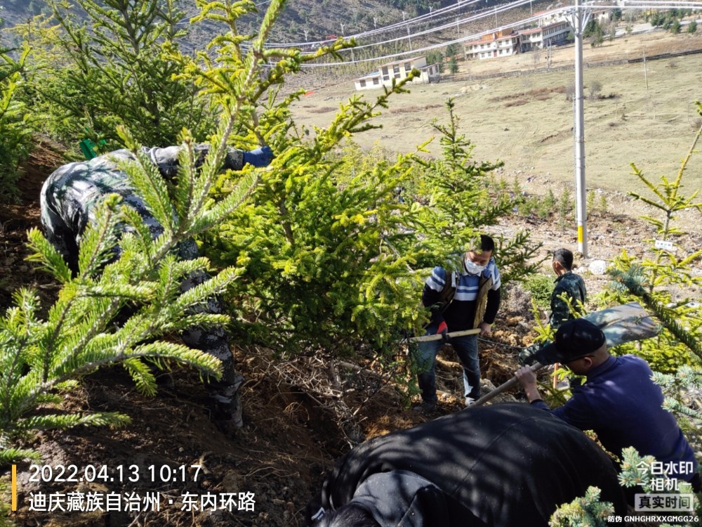 1649898253561043337.jpg 1649898253561043337.jpg