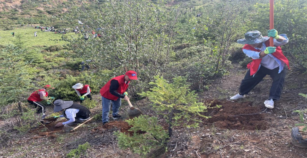 1690512803360005632.png 1690512803360005632.png