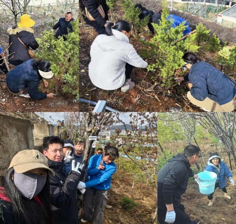 1731486242395039116.png 图片2.png