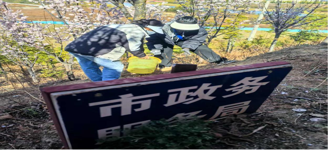 1766563989273014108.png 图片11.png