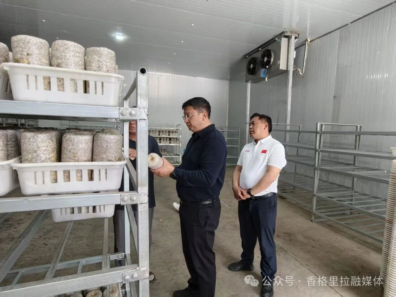 黄龙新到金江镇、上江乡调研产业发展和民生保障工作