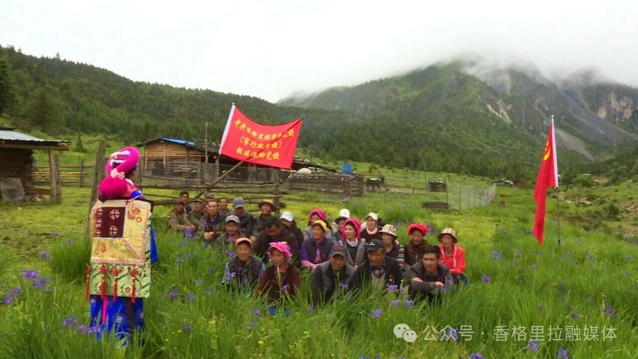 1782875378619089208.jpg 微信图片_2026-07-01_110952_475.jpg
