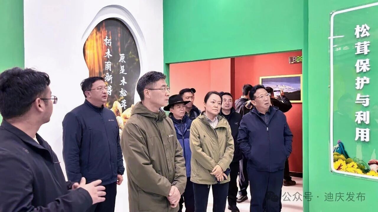 1784509816323081526.jpg 微信图片_2026-07-20_091332_377.jpg