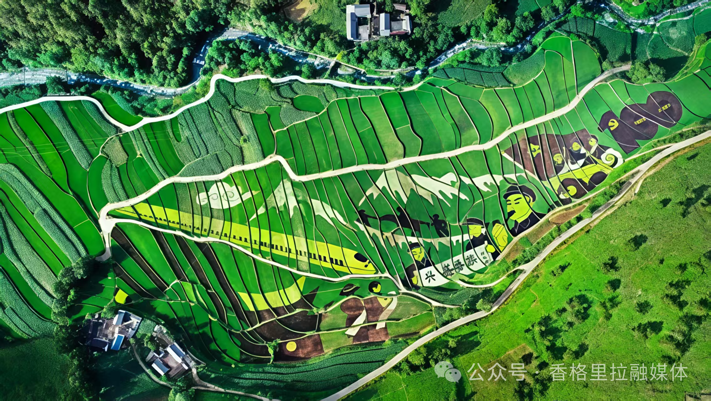 1785723814771069572.png 微信图片_2026-08-03_102653_188.png